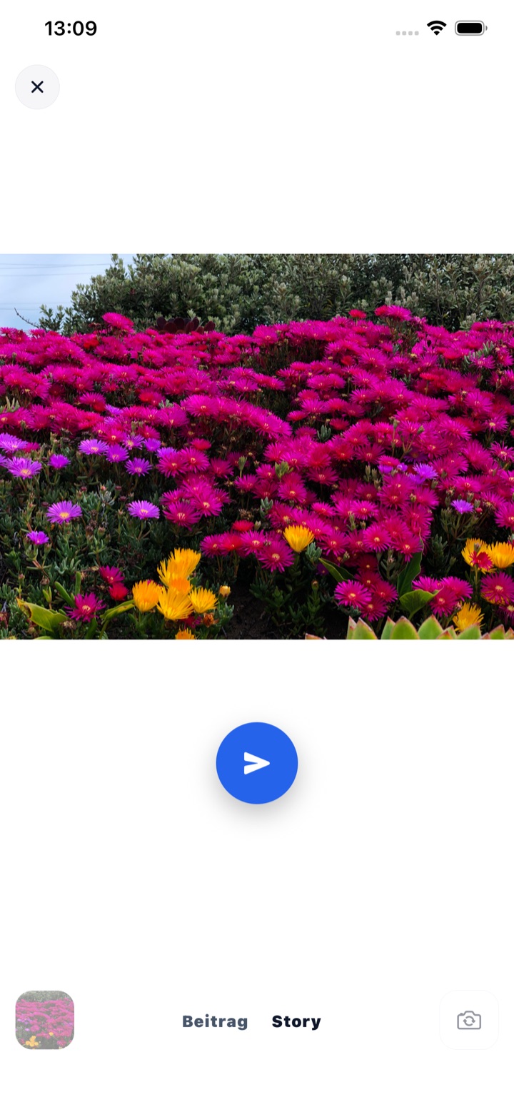 ciaorelated create story screen